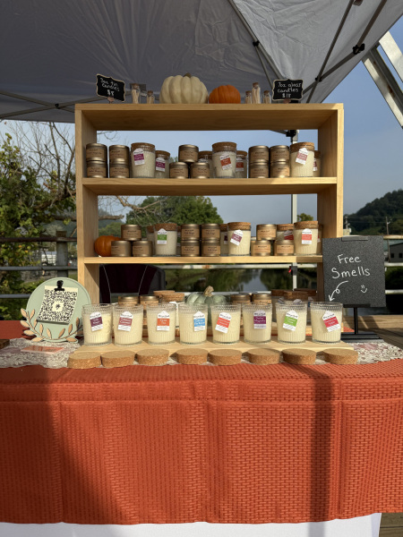 IMG_1596-Hannah-Silber