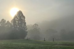 Hero Images 2000x1125 - Blue Ridge Gallery 2000x1125 (8)