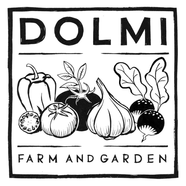 Dolmi-FG-2.5-card-front-Deana-Nilsen