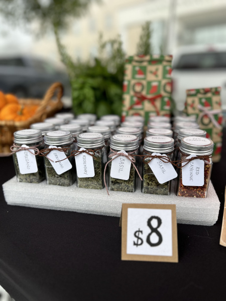 IMG_7162-Deana-Nilsen