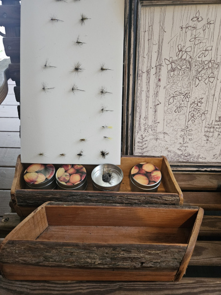 20240813_190237_resized