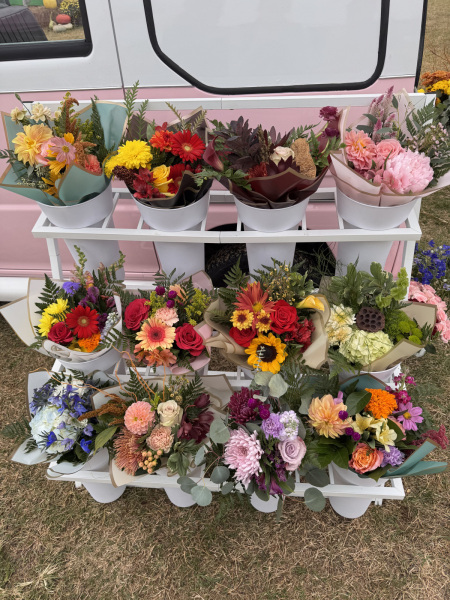 IMG_8524-Kayla-Brock-1