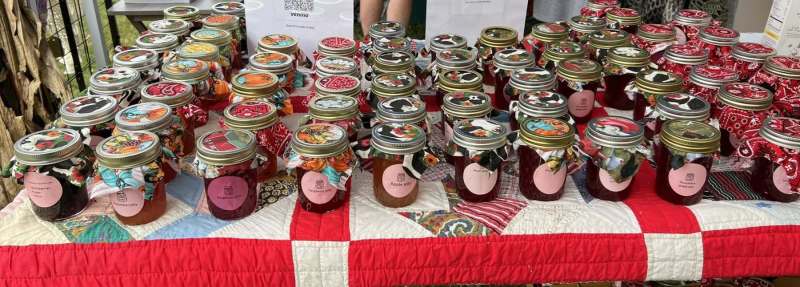 563527287_122099347197069274_3499207237999931360_n