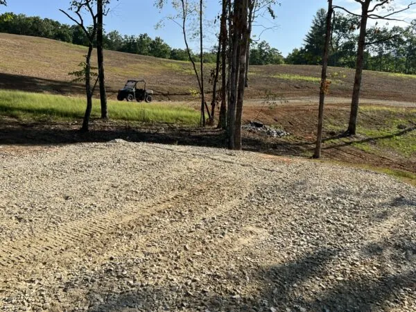 winery clearing