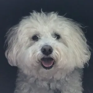 Zoey
