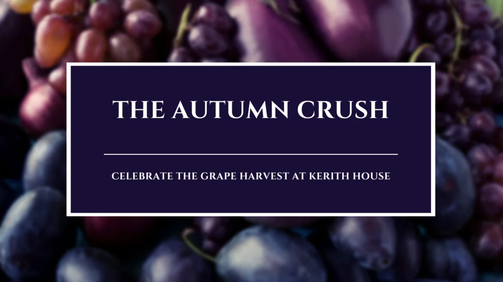 The Autumn Crush